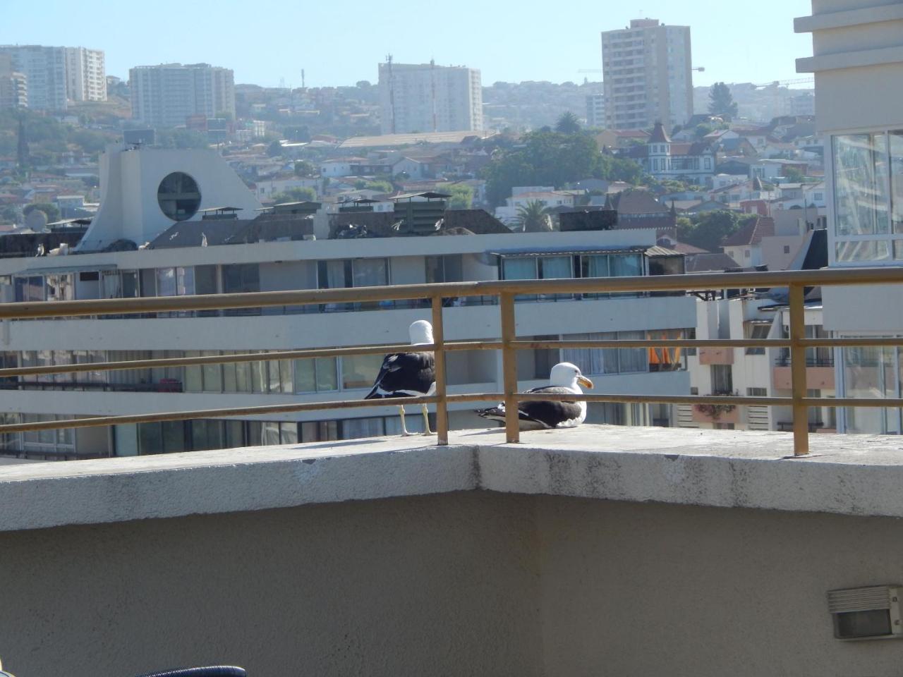 1201 Departamento Vs Centro Vina Lägenhet Vina del Mar Exteriör bild